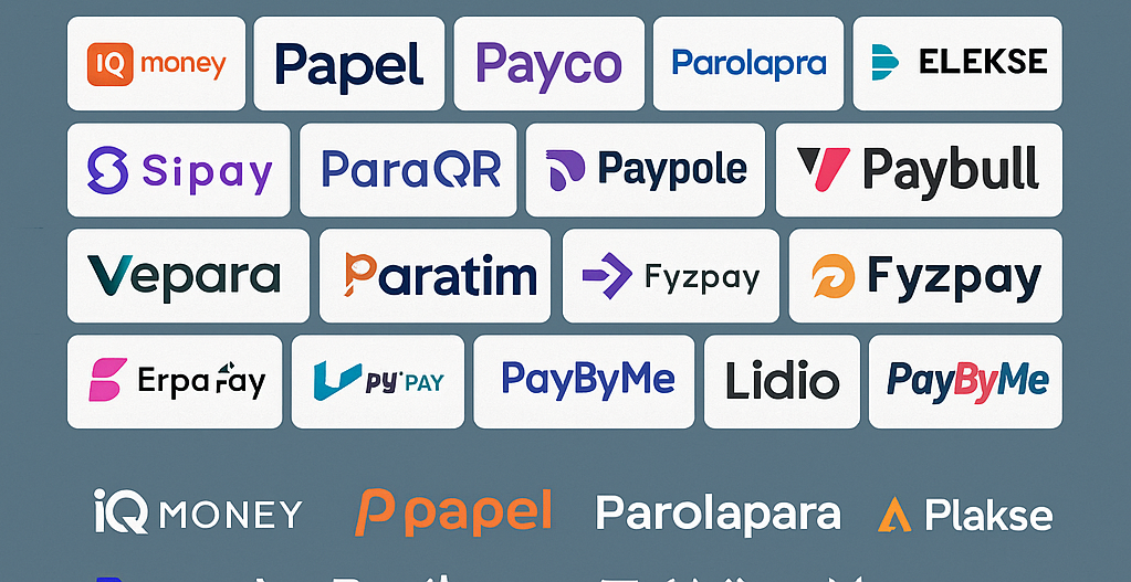 Bir Ödeme Sistemine Daha Kayyum Atandı! Sırada hangi ödeme kuruluşu var?
