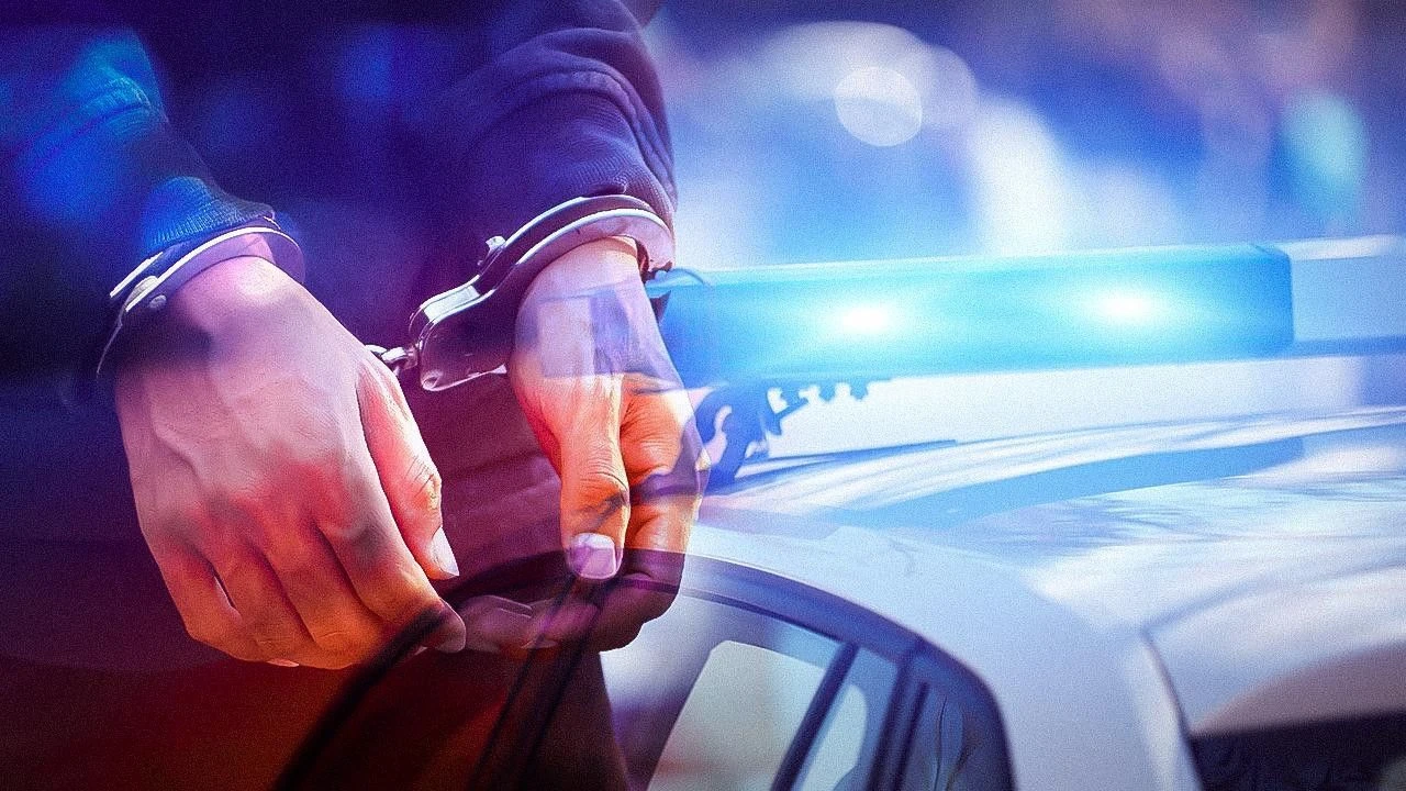 Yasa dışı bahis operasyonu: TMSF, 2 şirkete el koydu