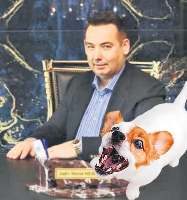 Sosyetik rezidansta köpek kavgası