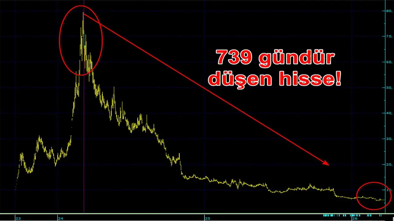 Reeder Hissesi Zirveden Yüzde 90’dan Fazla Düştü: Yatırımcılar Tepkili