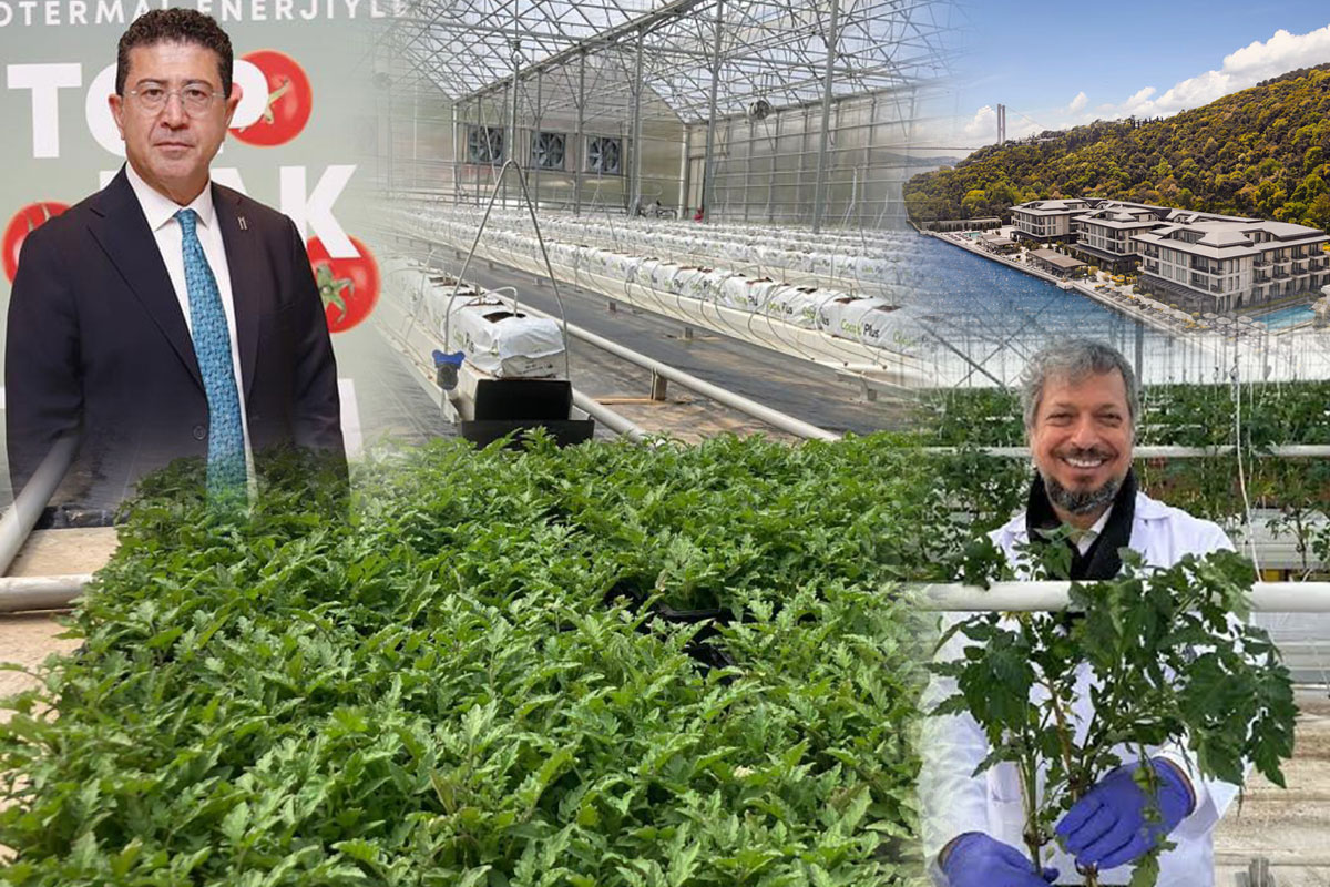 İstanbul Holding ve Yediyol Holding'in Jeotermal Sera Projesi Mercek Altında