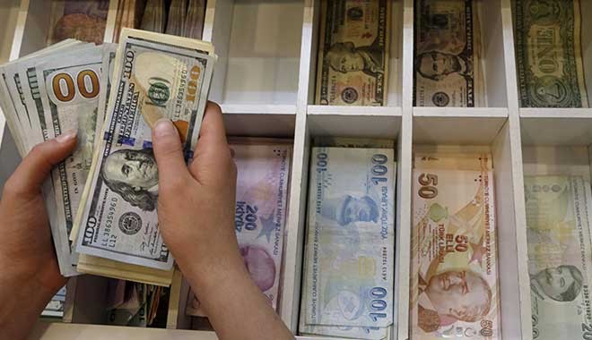 Yurt içi yerleşiklerin döviz mevduatları 1.69 milyar dolar azaldı